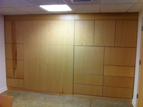 Birch Cabinet Wall with Murphy Bed